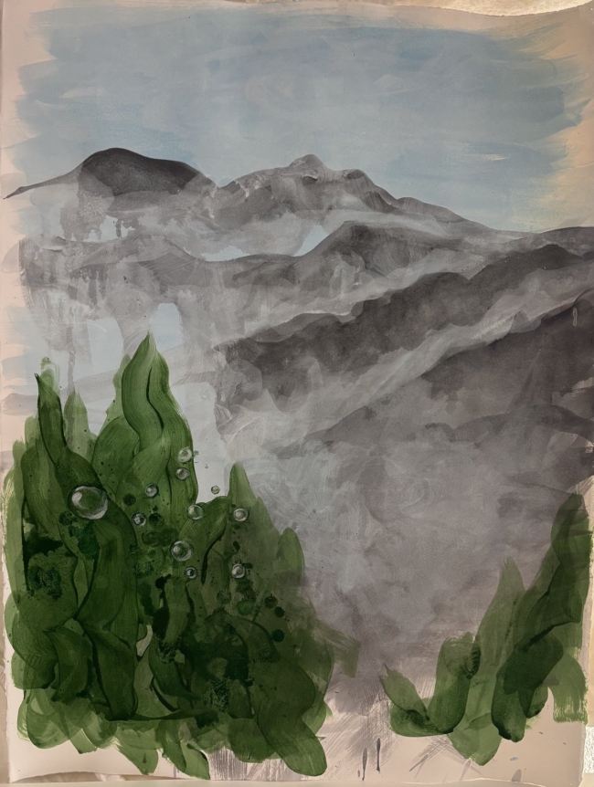 Les forêts du Japon